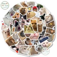 ราคา สติ๊กเกอร์ น้องแมวน่ารัก 322 น้องแมว 50ชิ้น น้องน่ารักมาก น้อง แมว น่ารัก cat น้อน แมว เหมียว แมวส้ม สติ๊กเกอร์แมว แ ม ว (18557028474)