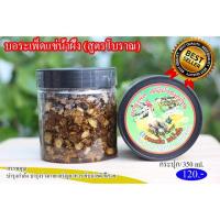 ราคา บอระเพ็ดแช่น้ำผึ้ง สูตรโบราณ หั่นท่อนสวยกำลังดี ยาบำรุงไก่ชน ยาเลี้ยงไก่ชน (10649413184)