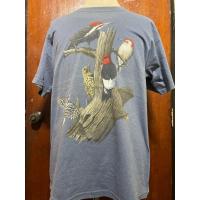 ราคา GILDAN เสื้อยืด ( มือสอง ) (23781305697)