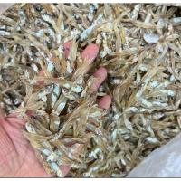 ราคา ปลาฉิ้งฉ้าง อบแห้ง (ปลากะตัก)เกาะยาว(ขึ้นชื่อ)1000กรัม(1กก)ปลาตัวเล็ก ปลาจิ้งจั้ง ปลาฉิ้งฉั้ง ปลาจิงจัง ปลาจิงจั้ง (43105205454)