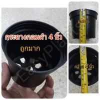 ราคา กระถางกลมดำ 4,6,8,10 นิ้ว แพ๊ค 10 ใบ กระถางพลาสติก ใช้ปลูกต้นไม้ ดอกไม้ กระถางดำ กระถางต้นไม้ (12612559675)