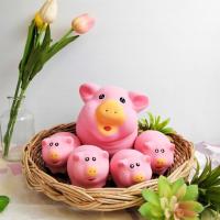 ราคา ตุ๊กตาแต่งสวน ตุ๊กตาจัดสวน ชุด 5 ตัว แม่หมู ลูกหมู ตุ๊กตาหมู หมูเซรามิค ตุ๊กตา ปูนปั้น แต่งสวน (8413765967)