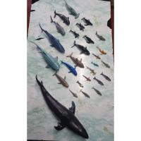 ราคา โมเดลสัตว์น้ำจำลองยางอ่อนนุ่ม โมเดลฉลามยางนุ่มนิ่มคละสายพันธุ์​ สัตว์ทะเลคละแบบ (26859839451)