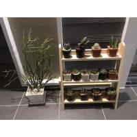 ราคา ชั้นไม้สน แบบบันได 4 ชั้น (18234156258)