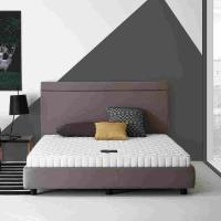 ราคา SB Design Square ที่นอน Dunlopillo รุ่น New Tropical ขนาด 6 ฟุต แถมฟรีหมอนหนุน 2 ใบ (24435110066)