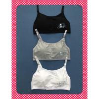 ราคา เสื้อชั้นในวัยรุ่น เสื้อชั้นในเด็ก CatCat (1724719165)