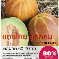 ราคา เมล็ดพันธุ์ แตงไทยลูกกลม 250 เมล็ด แตงไทย Muskmelon (ซื้อ 10 แถม 1 คละอย่างได้) (6124928259)