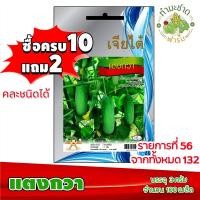 ราคา ❒▨✗[10แถม2] เจียไต๋ เมล็ดพันธุ์ แตงกวา Cucumber ประมาณ 55 เมล็ด ตราเจียไต๋ เมล็ดพันธุ์ผัก เมล็ดผัก เมล็ดพืช ผักสวนครัว ป (9379553840)