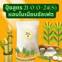 ราคา ปุ๋ยสูตร 21-0-0 แอมโมเนียมซัลเฟต ปุ๋ยไนโตรเจน เร่งการเจริญเติบโต Ammonium sulfate 21-0-0 + 24S by Mr.Garden (22967726120)