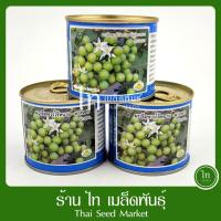 ราคา มะเขือพวง ไร้หนาม พวงหยก เมล็ดพันธุ์ มะเขือพวง ตรา งอบทอง บรรจุ 50 / 10 กรัม (15521328707)