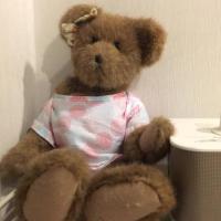 ราคา ตุ๊กตาหมี The BOYDS สีน้ (6031538949)