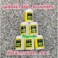 ราคา เมล็ดพันธุ์ผักสลัด แบบเมล็ดเคลือบ ENZA ZADEN อัตราการงอก 99% แบ่งบรรจุ 100 เมล็ด (26581517915)
