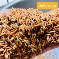 ราคา ข้าวกล้องทับทิมชุมแพชุมแพ ขนาด 1 กก #ข้าวเพื่อสุขภาพ ข้าวปลอดสาร (9857088465)