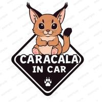 ราคา สติ๊กเกอร์ ป้ายติดรถยนต์ ติดรถ จุ๊บติดกระจก แผ่นแม่เหล็ก exotic pet เอ็กโซติก แมวคาราคัล Caracal IN CAR EXPTC4 (27690160894)