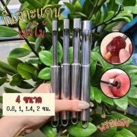 ราคา อุปกรณ์เจาะแกนผลไม้ ที่เจาะแกนผลไม้ ไม้เจาะแกนผลไม้ สแตนเลส 4 ขนาด ที่เจาะเม็ดมะยงชิด (40313875471)