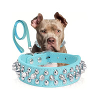 ราคา ปลอกคอสุนัขหนังประดับหนามพร้อมสายจูง จาก Epesiri ปลอกคอหนัง PU ประดับหมุดสําหรับสุนัขพิทบูล ปลอกคอแมวหนังทนทานประดับหนาม สําหรับสัตว์เลี้ยงขนาดเล็ก กลาง ใหญ่ (56401438639)