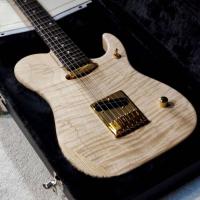 ราคา Washburn Nuno Bettencourt NELE Deluxe USA Custom Shop กีตาร์รุ่นล่าสุดของ Nuno Bettencourt (24540965377)