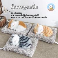 ราคา ตุ๊กตาดับกลิ่น หมาดูดกลิ่นรถ ตุ๊กตาแมวดับกลิ่น ตุ๊กตาดับในรถ มีเสียง (22384555180)