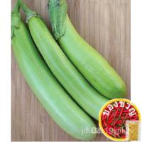 ราคา 25หลุยเซียน่ายาวสีเขียวมะเขือยาว DNYX (19859513642)