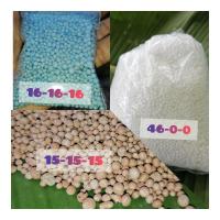 ราคา ปุ๋ยเคมี​สูตร 15-15-15 / 16-16-16 / 8-24-24 / 46-0-0(ยูเรียเม็ด​โฟม)​ (11055800218)
