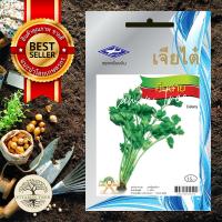 ราคา เมล็ดพันธุ์ ผักคื่นฉ่าย 3กรัม (6651414524)