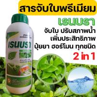ราคา [จับใบ] ยาจับใบ สารจับใบ ติดทน ขนาด 1 ลิตร จับดี สารจับใบ ยาจับใบ จับใบ (11685828798)