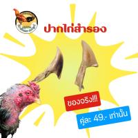 ราคา ปากไก่ชน สวมปากไก่ชน ของจริง ปากไก่สำรอง "ขนาดและสีเป็นไปตามลักษณะธรรมชาติของไก่แต่ละตัวที่ได้มา" (25031109039)