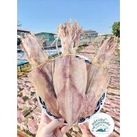 ราคา หมึกผ่า7นิ้ว หมึกผ่าหนังเรือไดร์ หมึกไหว้เจ้า หมึกไหว้ตรุษจีน อร่อยสดใหม่ ไม่เค็ม ส่งตรงจากผู้ผลิต (25811778912)