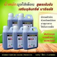 ราคา น้ำหมักมูลไส้เดือน สูตรผสมจุลินทรีย์บาซิลลัส 5 ลิตร (6075670037)