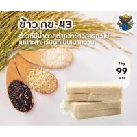 ราคา ข้าวกข.43 ข้าวน้ำตาลต่ำ เหมาะสำหรับผู้เป็นเบาหวาน (26436373990)
