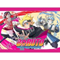 ราคา DVD การ์ตูนเรื่อง Boruto : Naruto Next Generations โบรูโตะ SET 1-13 (เสียงญี่ปุ่น / บรรยายไทย) (23437514754)