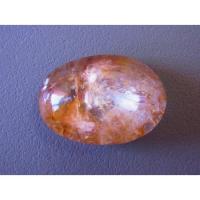 ราคา โป่งข่าม แก้วกาบเงินทอง (1472614033)