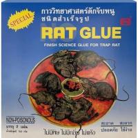 ราคา NO RAT GLUE โนแร็ทกลู กาวดักหนู ชนิดถาดสำเร็จรูป (27654741322)