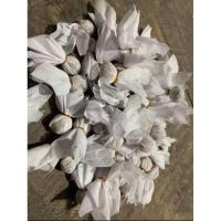 ราคา สมุนไพรหมักปลากัด (24026154404)