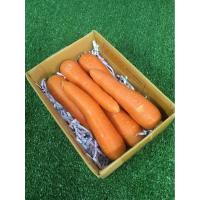 ราคา แครอท นอก/ออสเตรเลีย[Organic] - มีใบรับรองปลอดสาร คั้นน้ำอร่อย แครอทนำเข้า แครอทนอก แครอทหวาน Carrot (40270959514)