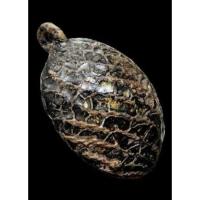 ราคา เบี้ยแก้หลวงปู่รอดวัดนายโรง (12997491659)