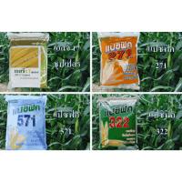 ราคา เมล็ดข้าวโพดฝักอ่อน พันธุ์เอสจี 17 ซุปเปอร์ พันธุ์แปซิฟิค271 พันธุ์แปซิฟิค 571 บรรจุ 1 กิโลกรัม (22331742262)