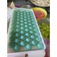 ราคา พิมพ์พุดดิ้ง พิมพ์ไข่มุก พิมพ์วุ้นลูกส้ม 1,3,10,26 และ 63 ช่อง (2036068872)