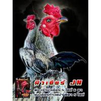 ราคา ไข่เชื้อสายเลือดเจ้านิวเยียร์พม่าแข้งหน้าจอมตีตาสถิติ5ไฟล์6ตา (49800829729)