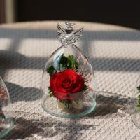 ราคา ดอกกุหลาบอมตะ ในโหลนางฟ้า สีแดง อยู่ได้นาน5-7ปี (7379344139)