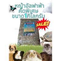 ราคา (MMPetShop) หญ้าอัลฟาฟ่าสับ 200กรัม 500 กรัม และ 1กิโลกรัม หญ้าสำหรับกระต่าย แกสบี้ คุณภาพดีไร้ฝุ่น (20118668993)