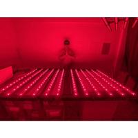 ราคา LIGHT B 1200 X PRO PPFD CO2 (18457121761)