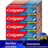 ราคา แคลเซียมยอดนิยม 20 กรัม (12กล่อง) คอลเกต Colgate Popular Calcium (22284137874)