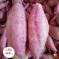 ราคา มันม่วงหวาน [ราคา 5 kg] อร่อย หวาน มัน มันม่วงสดจากไร่ มันม่วงมันหวานปลูกในไทยเกษตรอินทรีย์ (29055804229)