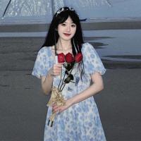 ราคา ชุดลายดอกไม้สำหรับฤดูร้อน ดีไซน์กระโปรงยาวในสไตล์ฝรั่งเศส (42373852552)