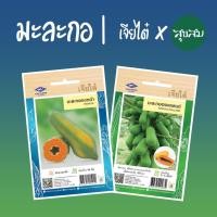 ราคา เมล็ดผัก เมล็ดมะละกอ มะละกอแขกดำ มะละกอฮอลแลนด์ มะละกอฮอนแลนด์ มะละกอ Papaya l เจียไต๋ เมล็ดพันธุ์ผัก ปลูกผัก (6035847279)