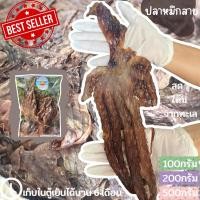 ราคา พร้อมส่ง‼️ ปลาหมึกสาย ปลาหมึกสายหวาน หมึกสายหวานแกะตา ตัวเล็กใหญ่ รสหวาน ราคาถูก ทำมาใหม่ๆๆ (มีหลายขนาด)/Tentacle squid (4833459080)