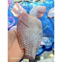 ราคา ปลาทับทิมแดดเดียวหนัก1กิโลกรัมประมาณ6/8ตัวโลจัดส่งแบบแช่แข็ง (41863686625)