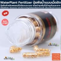 ราคา ปุ๋ยฝังสำหรับพรรณไม้น้ำปุ๋ยพืชน้ำแบบเม็ดฝัง (แบ่งขายจากขวดใหญ่ แบรนด์ Jiebao) ปุ๋ยไม้น้ำ ปุ๋ยฝังไม้เขียว ปุ๋ยฝัง ไม้แดง (25755678481)