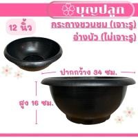 ราคา อ่างพลาสติก 12 นิ้ว ชวนชม (มีรู) / อ่างบัว (ทึบ) สีดำ (24407221113)